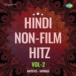 Hindi Non - Film Hitz Vol - 2 - Narinder Biba Song Download